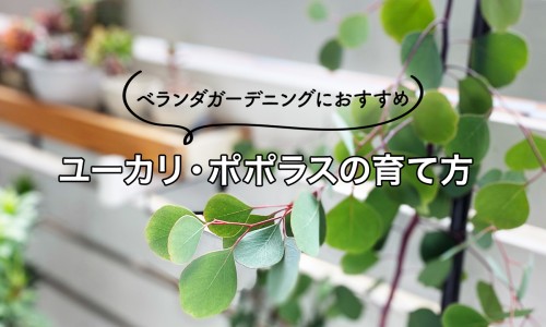 跑步减腹部脂肪效果好吗-跑步如何减腹部脂肪网跑步如何减腹部脂肪最有效知识网站,分享跑步如何减腹部脂肪最快大全