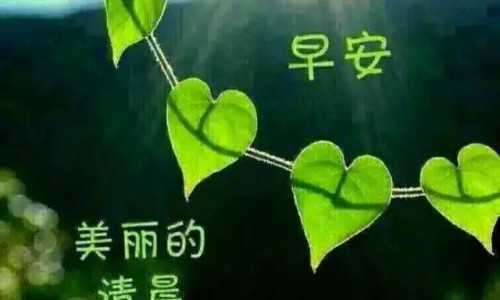 跑步减腹部脂肪效果好吗-跑步如何减腹部脂肪网跑步如何减腹部脂肪最有效知识网站,分享跑步如何减腹部脂肪最快大全